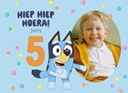 Bluey Hiep Hiep Hoera